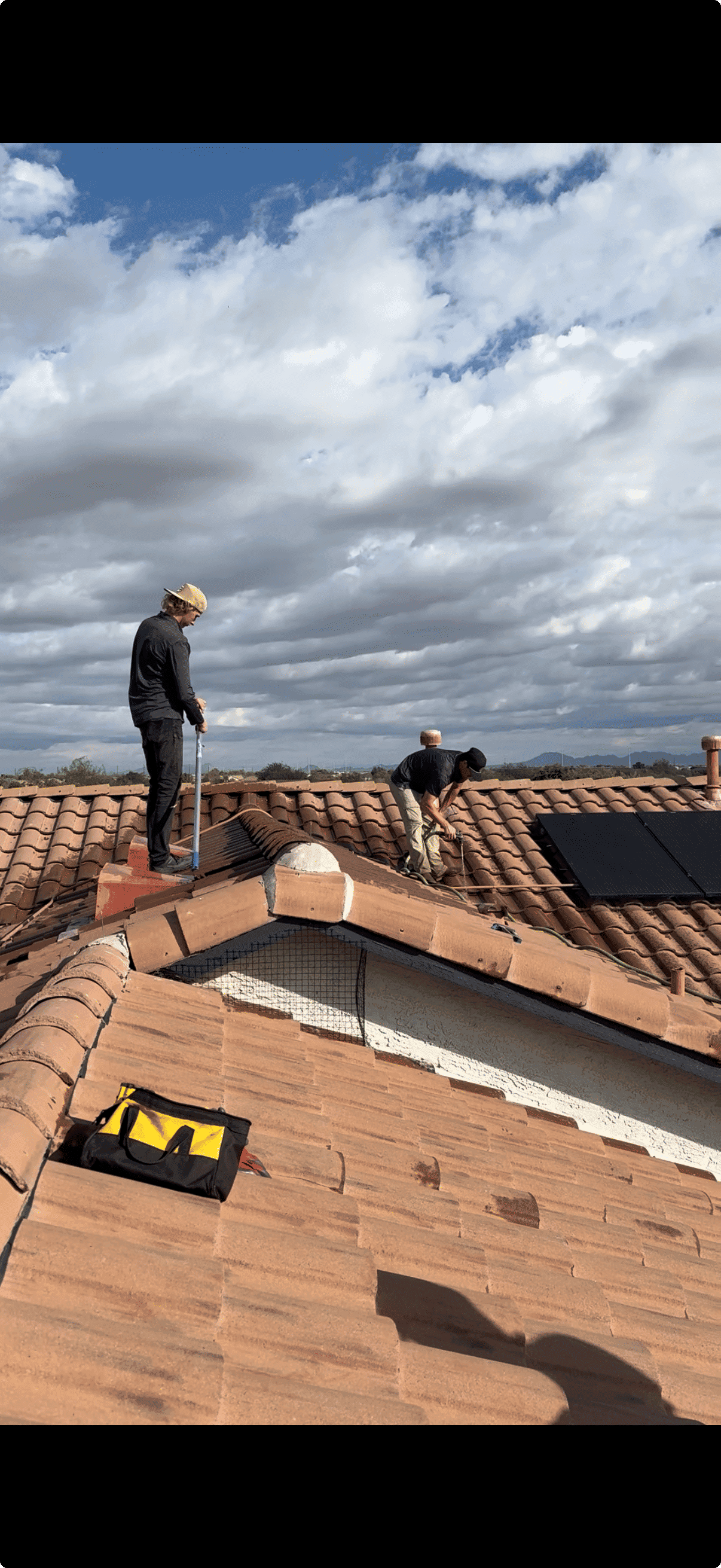 Featured post - Pigeon Problems on Your Roof: How Removal & Prevention Works